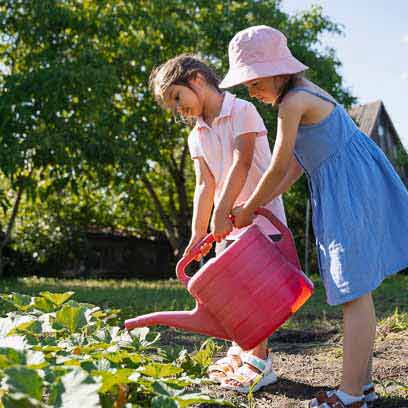 BNE in und für Kindertagesstätten